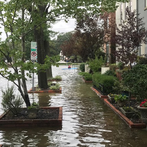 Recursos de divulgación