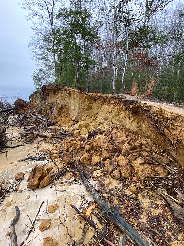 costa en el Parque Estatal del Río York antes de la estabilización