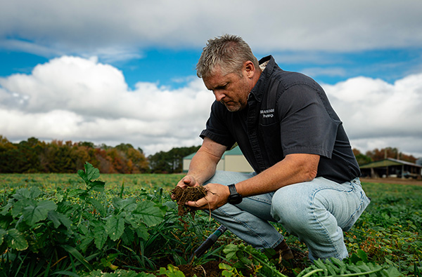 Cultivos de cobertura