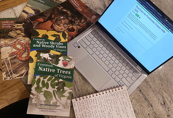 Materiales del examen final