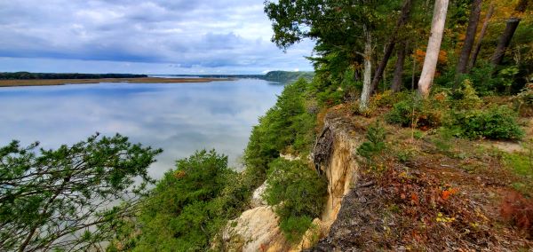 Dramatic view overlooking river from cliffs with green trees and vegetation, with white clouds reflected in the water.