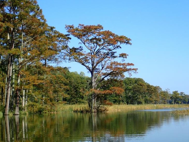 Arroyo de los Grises