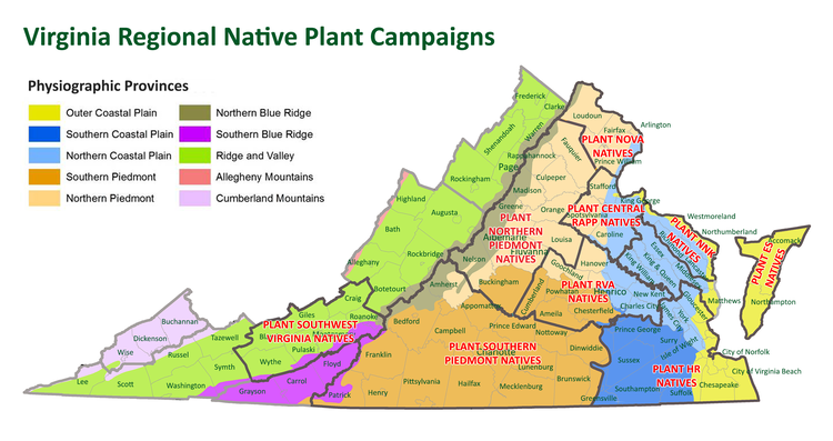 Mapa que muestra las diferentes regiones de Virginia para la plantación nativa 