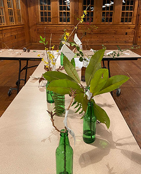 Visualización de clases