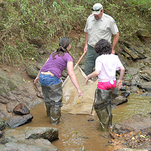 En el arroyo del Parque Estatal Sailor's Creek Battlefield