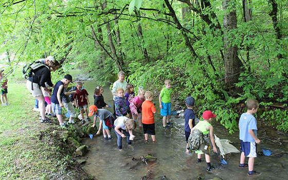 Excursión al Parque Estatal Hungry Mother