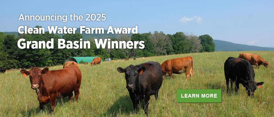 Ganadores del Premio Clean Water Farm