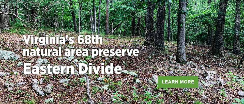 Eastern Divide Natural Area Preserve