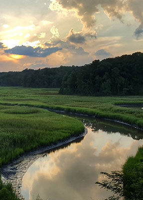 Cómo conservar la tierra