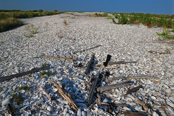 foto de la Reserva del Área Natural de Wreck Island