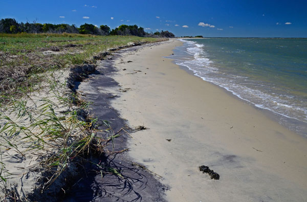 Reserva del Área Natural de la Isla Parramore