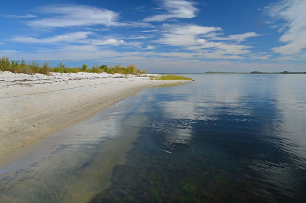Reserva del Área Natural del Pantano de Parkers