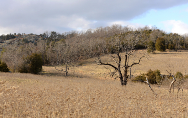 Reserva del Área Natural Bald Knob