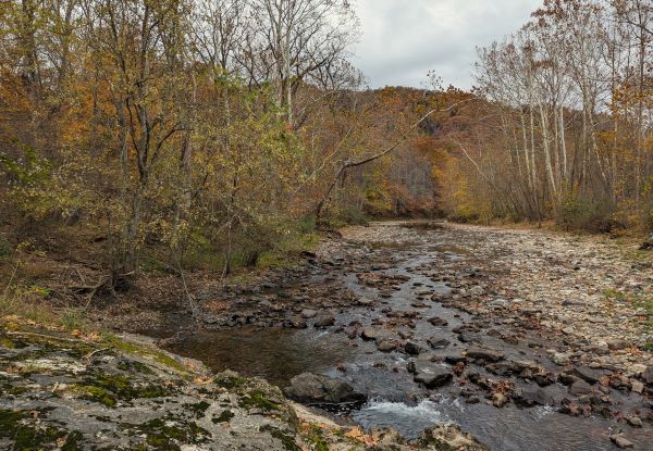 Reserva del área natural de Brocks Gap