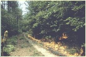 Personal del DCR realizando una quema prescrita en la Reserva del Área Natural Chub Sandhill