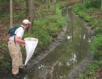 Foto del inventario de especies raras de un zoólogo de campo