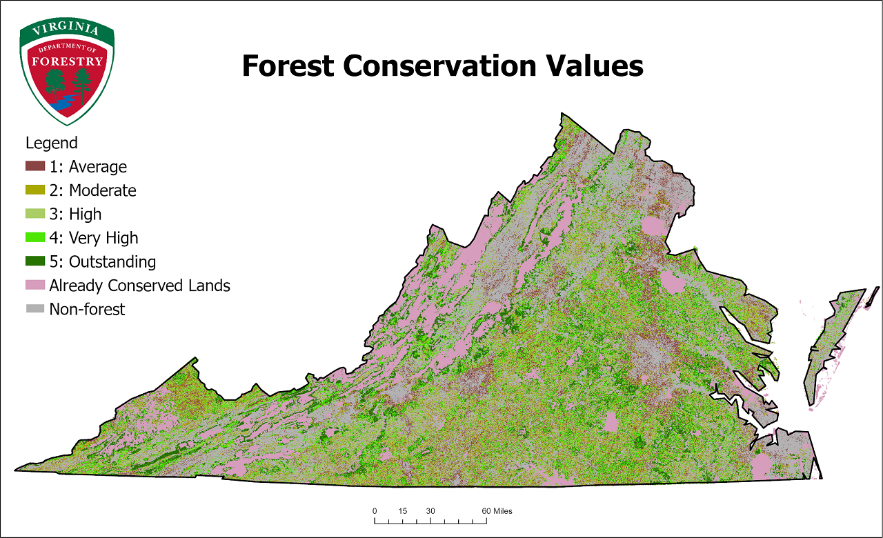 Mapa de Valor de Conservación Forestal