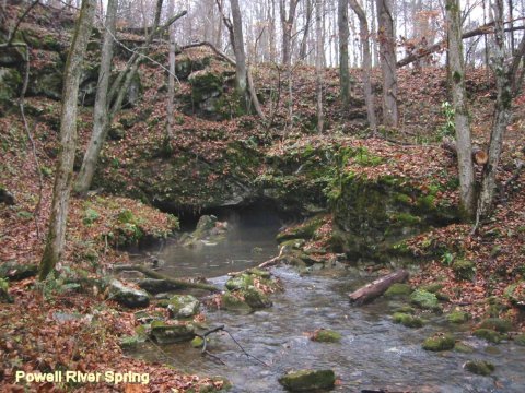 Manantial del río Powell