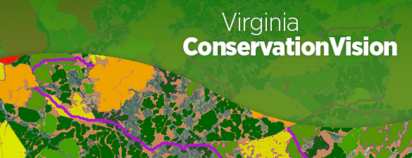 Visión de conservación de VA