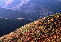 Foto de Blue Ridge con los colores del otoño