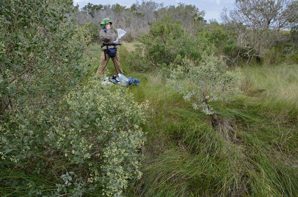 Exfoliante de sal fotográfico