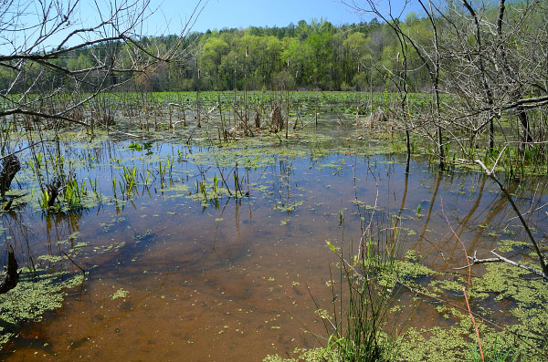 Foto de río de marea de alta energía