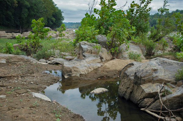 Foto de río de marea de alta energía