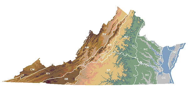 Este enlace abre una nueva ventana del navegador para mostrar una foto más grande