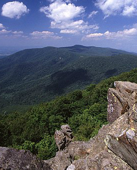Foto de afloramientos rocosos y bosque