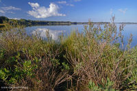 Exfoliante de sal – CEGL003921 Exfoliante de sal – CEGL003921