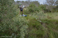 Exfoliante de sal – CEGL003921 Exfoliante de sal – CEGL003921