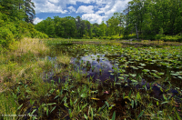 Embalse semipermanente (sin clasificar) Embalse semipermanente (sin clasificar)