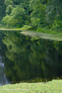 Embalse semipermanente (sin clasificar) Embalse semipermanente (sin clasificar)