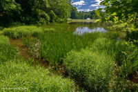 Embalse semipermanente (sin clasificar) Embalse semipermanente (sin clasificar)