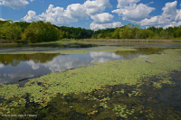 Embalse semipermanente (sin clasificar) Embalse semipermanente (sin clasificar)