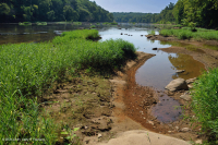 Water-Willow Rocky Bar y Orilla – CEGL004286 Water-Willow Rocky Bar y Orilla – CEGL004286