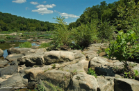 Piamonte / Sicómoro de los Apalaches Centrales - Abedul de río Bosque de socavación - CEGL003896 Piamonte / Sicómoro de los Apalaches Centrales - Abedul de río Bosque de socavación - CEGL003896