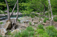 Piamonte / Sicómoro de los Apalaches Centrales - Abedul de río Bosque de socavación - CEGL003896 Piamonte / Sicómoro de los Apalaches Centrales - Abedul de río Bosque de socavación - CEGL003896