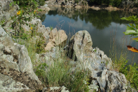 Piamonte / Pradera de afloramiento ribereño de los Apalaches centrales - CEGL006478 Piamonte / Pradera de afloramiento ribereño de los Apalaches centrales - CEGL006478