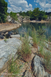 Piamonte / Pradera de afloramiento ribereño de los Apalaches centrales - CEGL006478 Piamonte / Pradera de afloramiento ribereño de los Apalaches centrales - CEGL006478