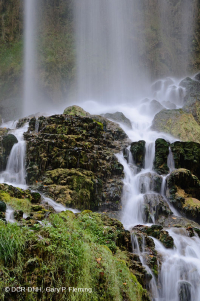 Acantilado de rocío de los Apalaches Acantilado de rocío de los Apalaches