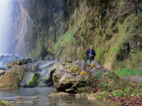 Acantilado de rocío de los Apalaches Acantilado de rocío de los Apalaches