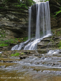 Acantilado de rocío de los Apalaches Acantilado de rocío de los Apalaches