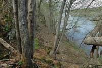 Bosque de Boulderfield rico en elevación de los Apalaches centrales / Piamonte - CEGL006471 Bosque de Boulderfield rico en elevación de los Apalaches centrales / Piamonte - CEGL006471