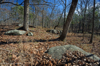Roble Básico Hardpan del Norte - Bosque de nogal - CEGL006216 Roble Básico Hardpan del Norte - Bosque de nogal - CEGL006216
