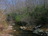 Llanura costera septentrional / Roble piamonte - Haya / Bosque de brezo - CEGL006919 Llanura costera septentrional / Roble piamonte - Haya / Bosque de brezo - CEGL006919