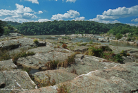 Afloramiento ribereño del desfiladero del Potomac - CEGL006491 Afloramiento ribereño del desfiladero del Potomac - CEGL006491