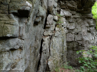Acantilado de arenisca xérica de las montañas Cumberland - CEGL004392 Acantilado de arenisca xérica de las montañas Cumberland - CEGL004392