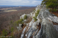 Acantilado Ácido de los Apalaches Centrales / Piamonte - CEGL004391 Acantilado Ácido de los Apalaches Centrales / Piamonte - CEGL004391