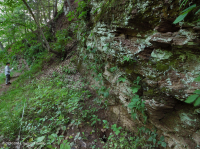 Piamonte / Apalaches centrales máfico / Acantilado calcáreo – CEGL006479 Piamonte / Apalaches centrales máfico / Acantilado calcáreo – CEGL006479